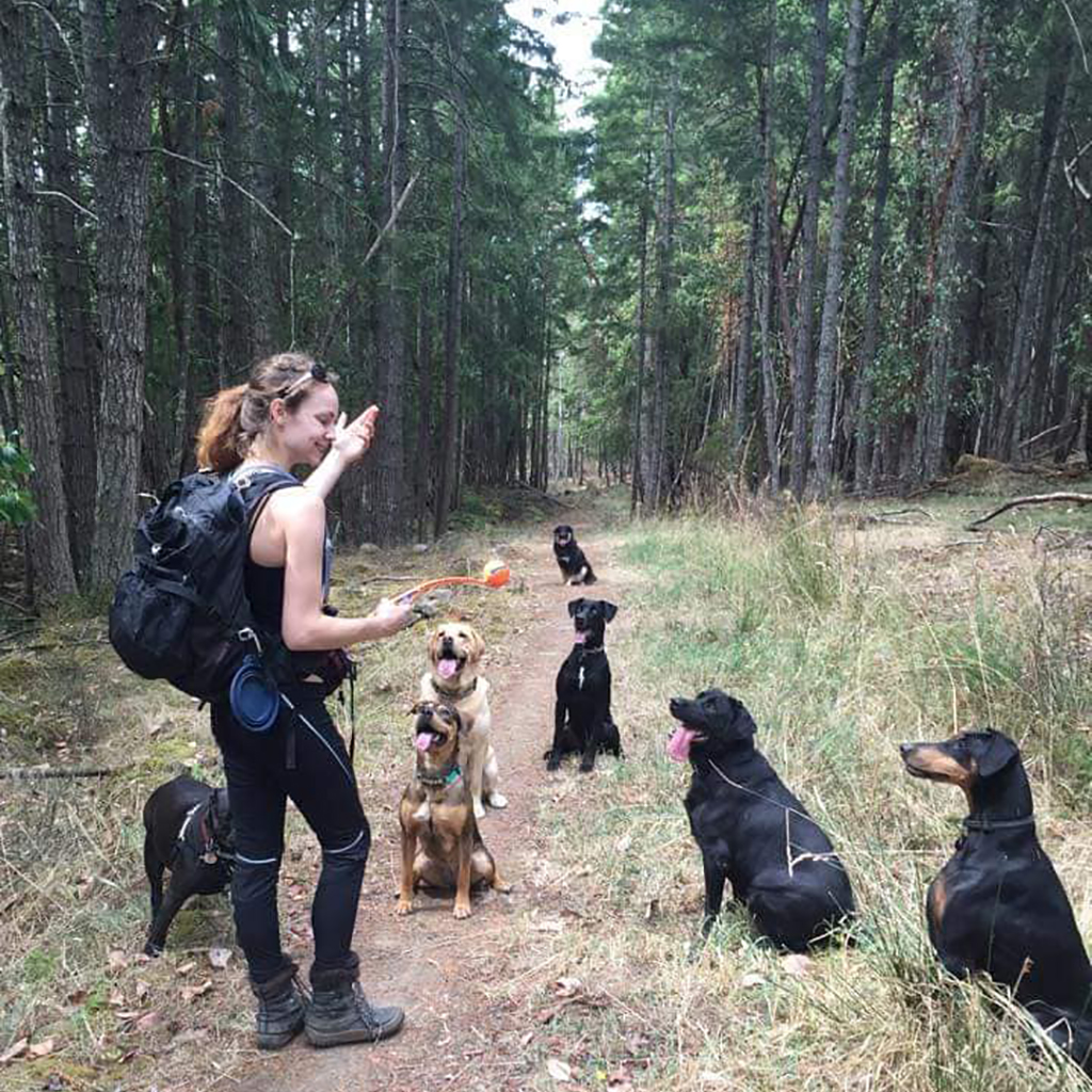 which dog training method is best